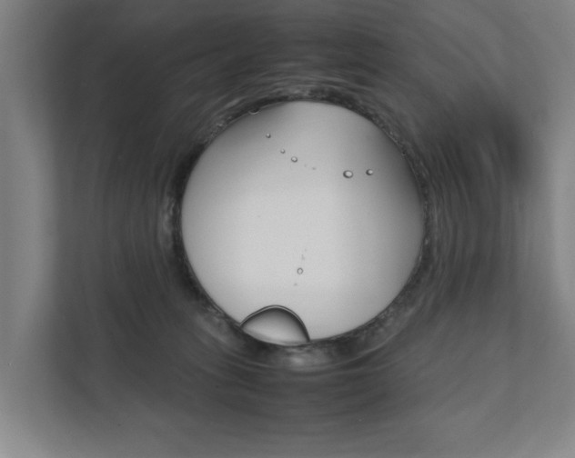 X0000111840275200907231045