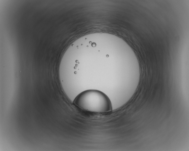 X0000111840276200907231045