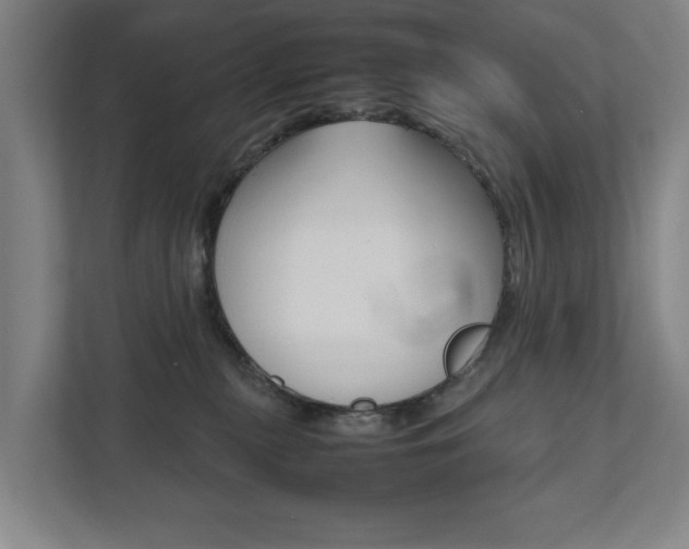 X0000111840279200907231045