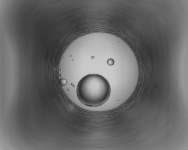 X0000111840280200907231045