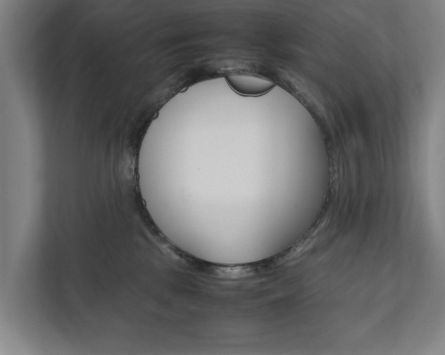 X0000111840281200907231045