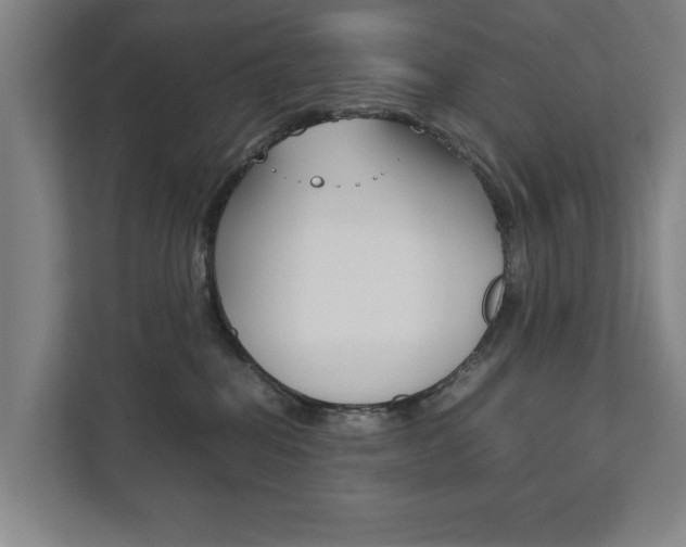 X0000111840282200907231045