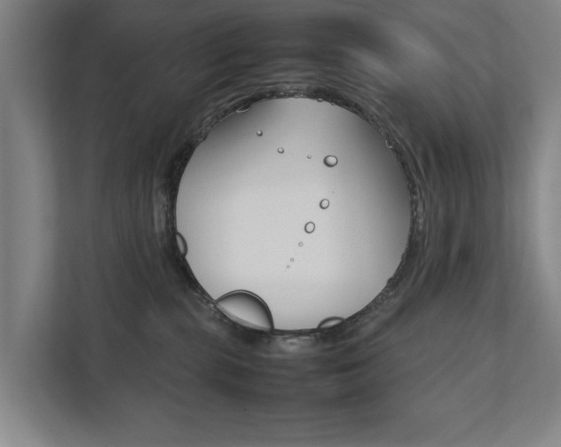X0000111840283200907231045