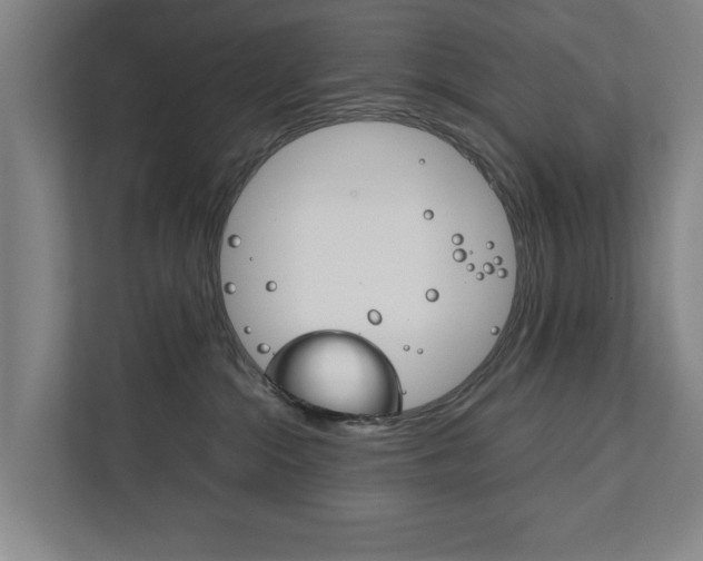 X0000111840284200907231045