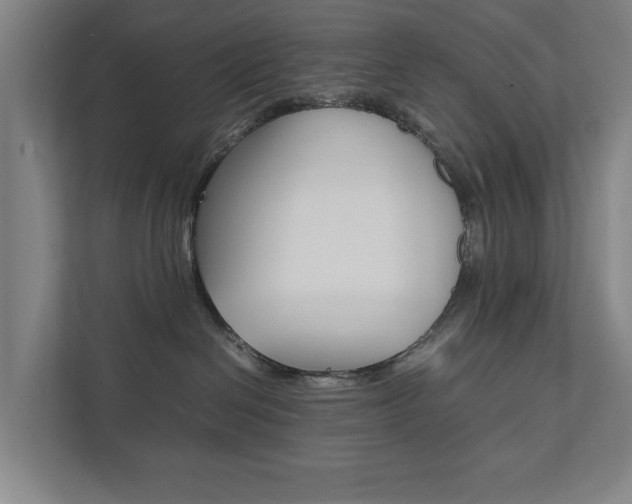 X0000111840286200907231045