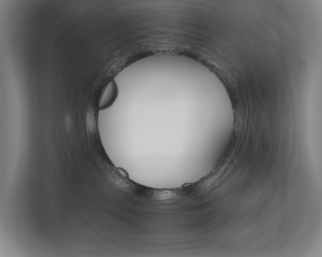X0000111840287200907231045