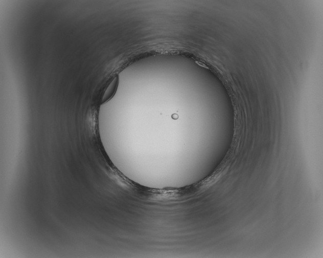 X0000111840288200907231045