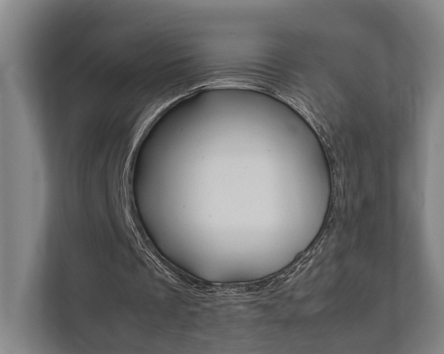 X0000111840289200907231045