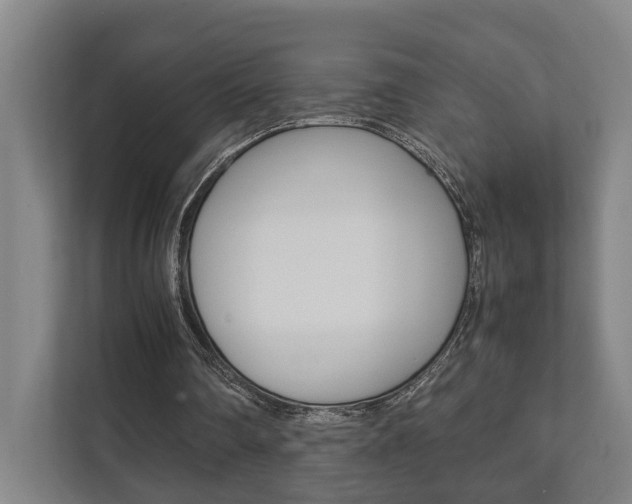 X0000111840290200907231045