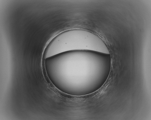 X0000111840292200907231045