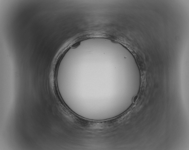 X0000111840293200907231045