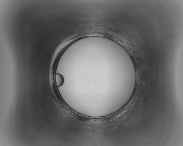 X0000111840294200907231045