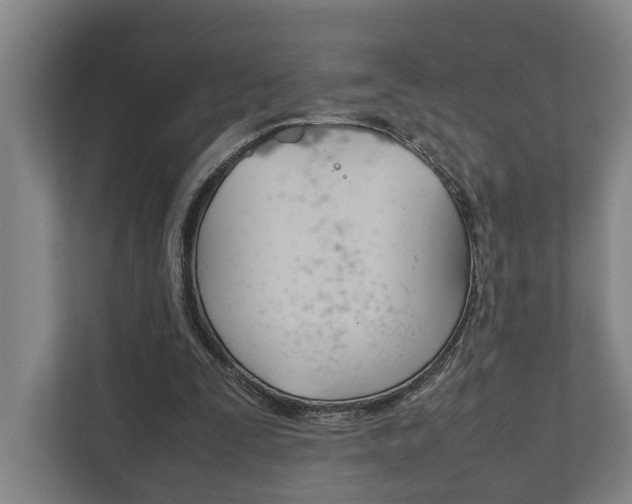 X0000111840295200907231045
