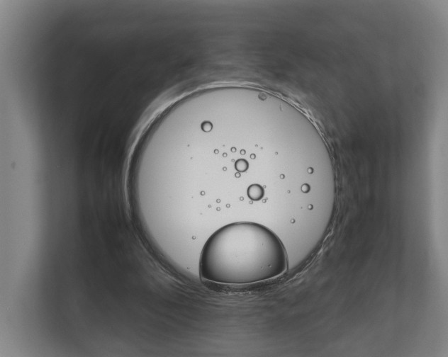 X0000111840296200907231045