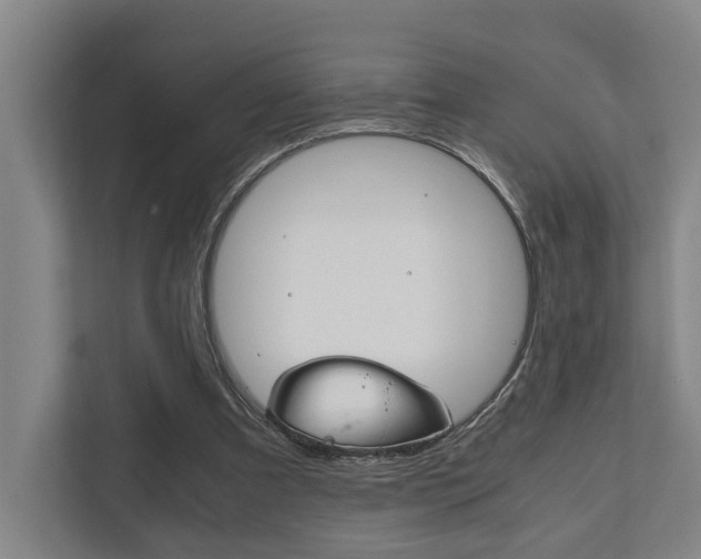 X0000111840297200907231045