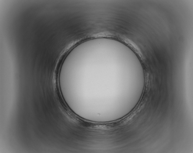 X0000111840298200907231045