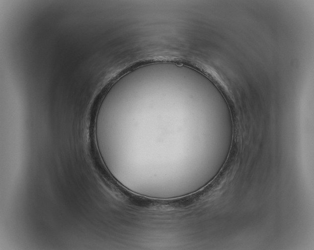 X0000111840299200907231045
