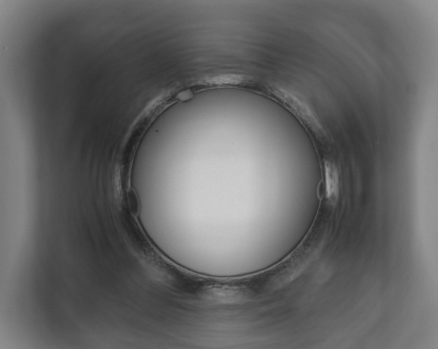 X0000111840300200907231045