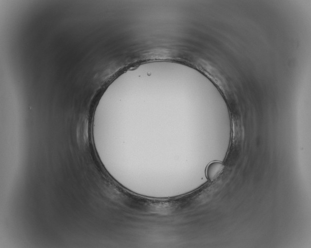 X0000111840301200907231045