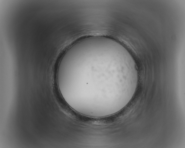 X0000111840303200907231045