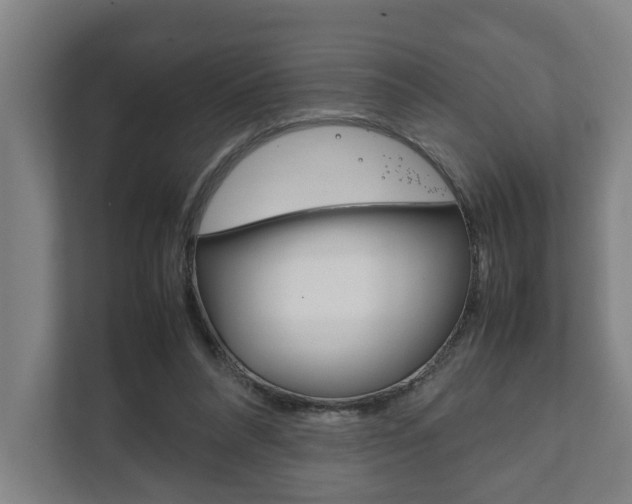 X0000111840304200907231045
