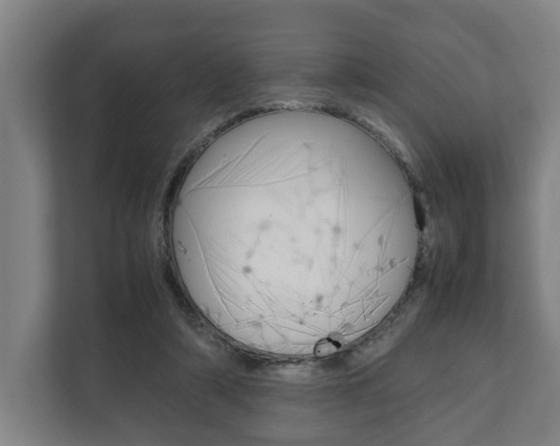 X0000111840306200907231045