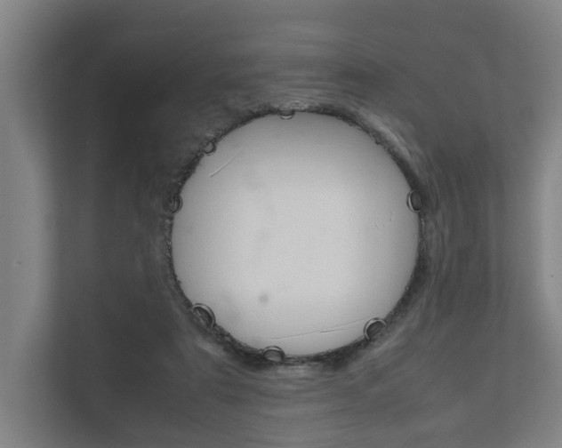 X0000111840307200907231045