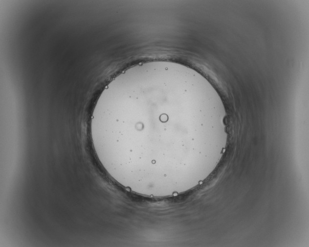 X0000111840309200907231044