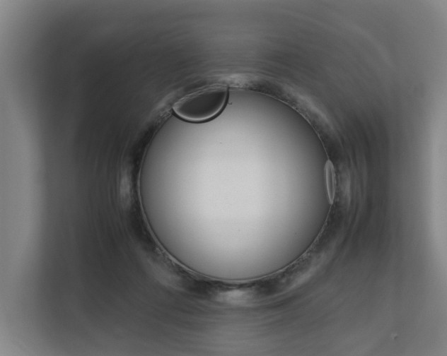 X0000111840312200907231044
