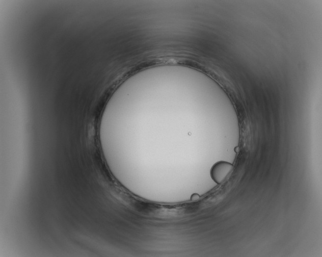 X0000111840314200907231044