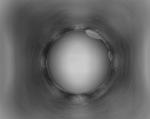 X0000111840316200907231044