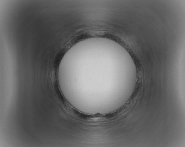 X0000111840323200907231044