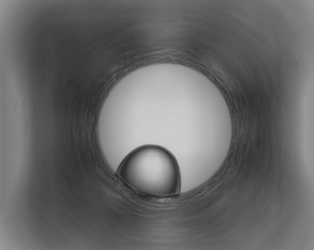 X0000111840324200907231044