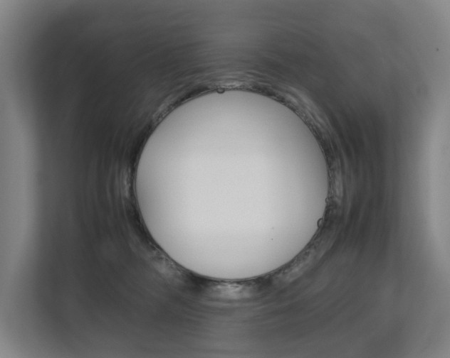 X0000111840326200907231044