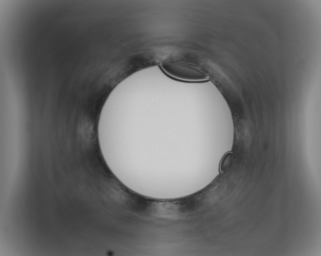 X0000111840327200907231044