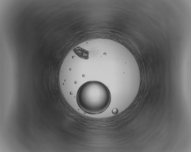X0000111840328200907231044