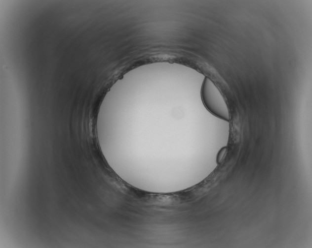 X0000111840330200907231044