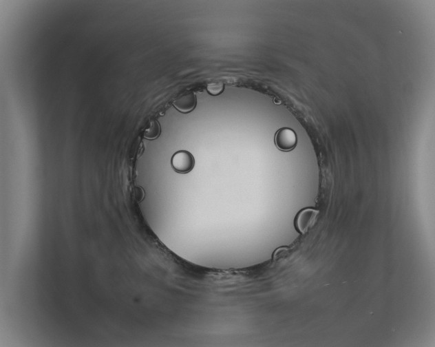 X0000111840331200907231044