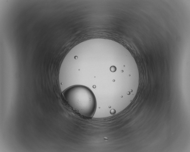 X0000111840332200907231044