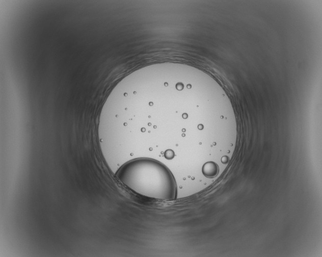 X0000111840333200907231044