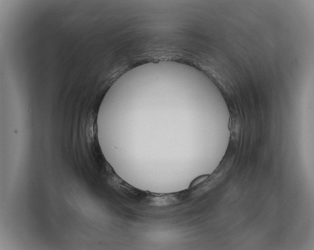 X0000111840334200907231044