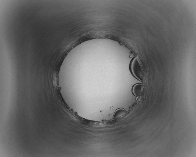X0000111840335200907231044