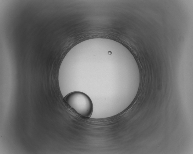 X0000111840336200907231044