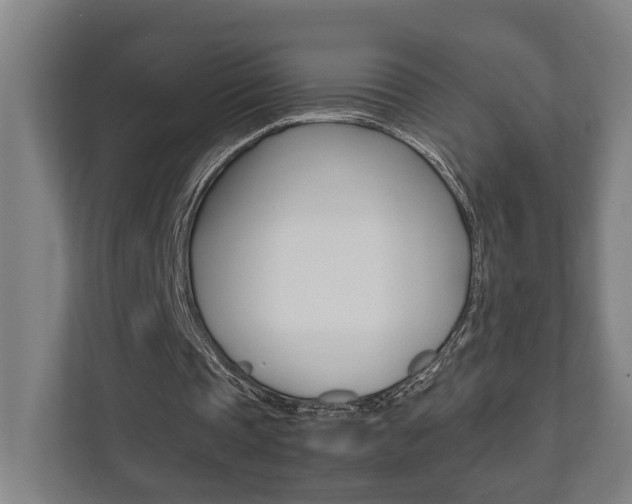 X0000111840337200907231044