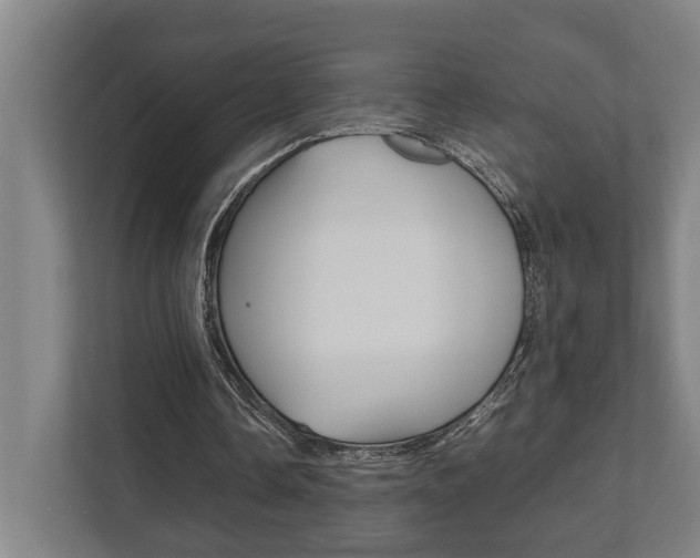 X0000111840338200907231044