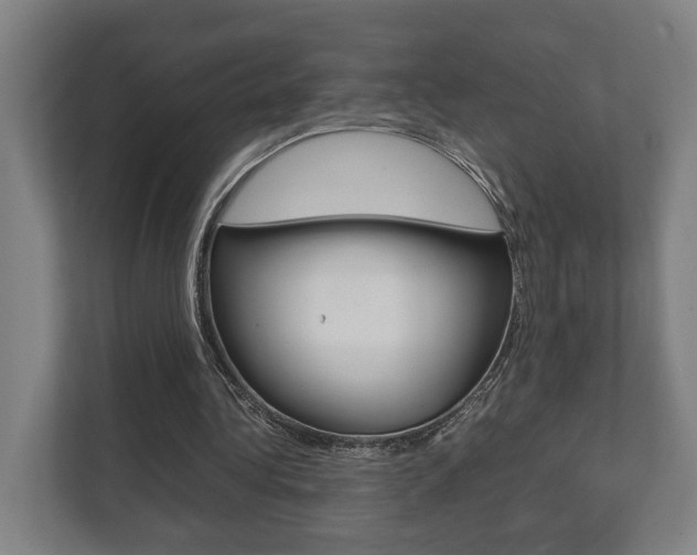 X0000111840340200907231044