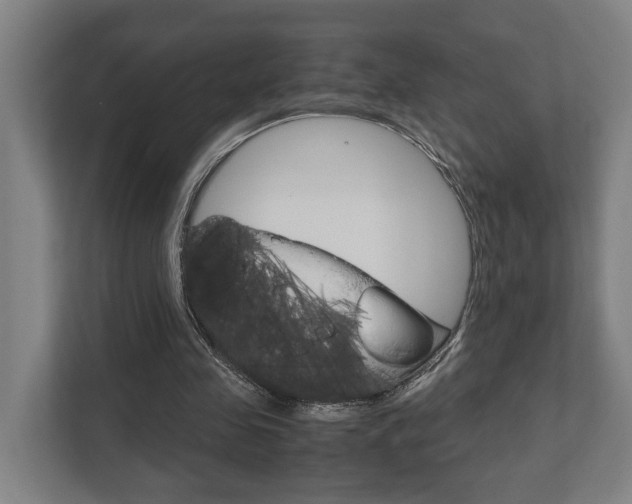 X0000111840341200907231044