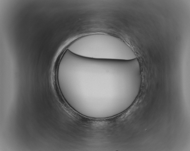 X0000111840342200907231044