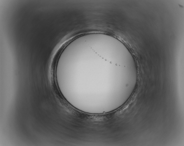 X0000111840343200907231044