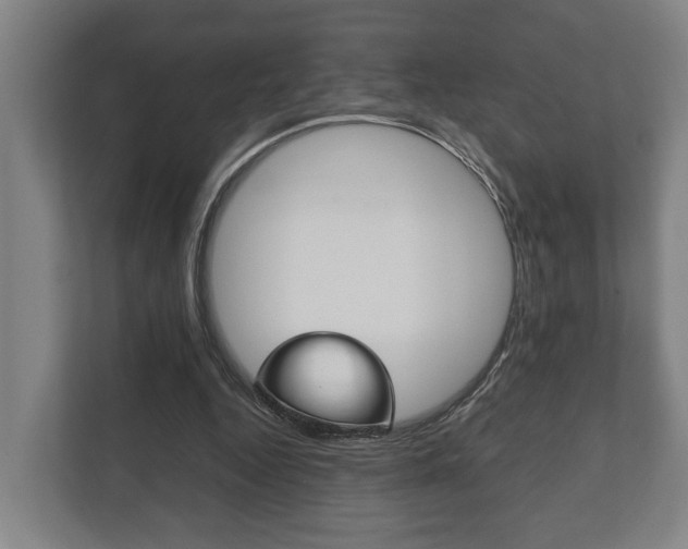 X0000111840344200907231044